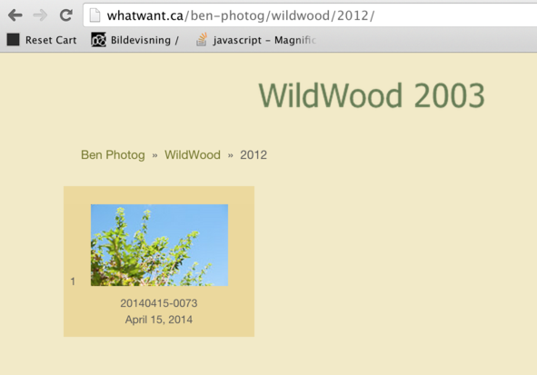 wildwood_2012.png