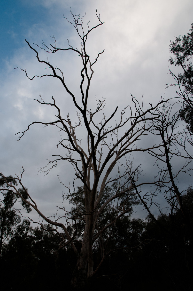 20100905-0050