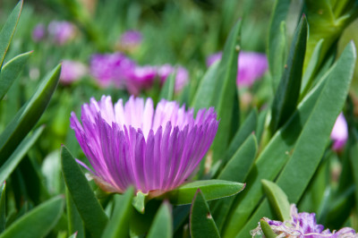 20111015-0192.jpg