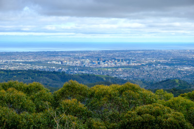 20230806-0008.jpg