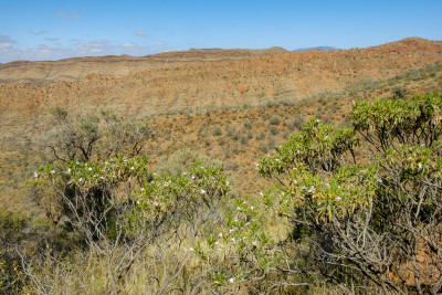20220924-0018.jpg