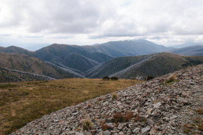 20120408-0262.jpg