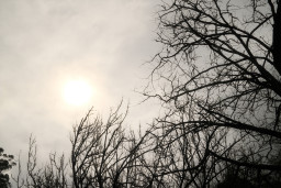 20250924-0011.jpg