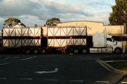 20250924-0046.jpg