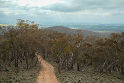 20250925-0095.jpg