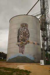 20250925-0124.jpg