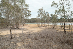 20250926-0004.jpg