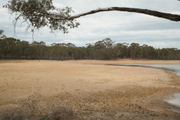 20250926-0012.jpg