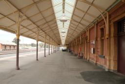 20250926-0013.jpg