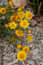 20250926-0048.jpg