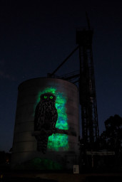 20250926-0085.jpg