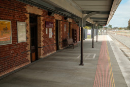 20250927-0021.jpg