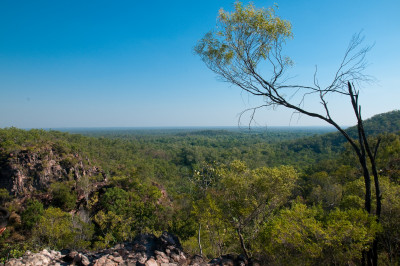 Darwin and Litchfield National Park, July 2010