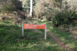 20260709-0066.jpg