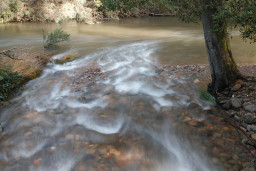 20260709-0079.jpg
