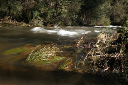20260709-0100.jpg