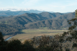 20260709-0113.jpg