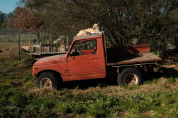20260710-0023.jpg