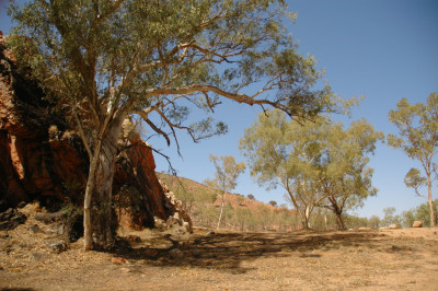 20080323-0191.jpg