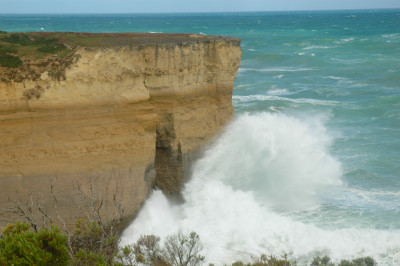 DSC_0175.jpg