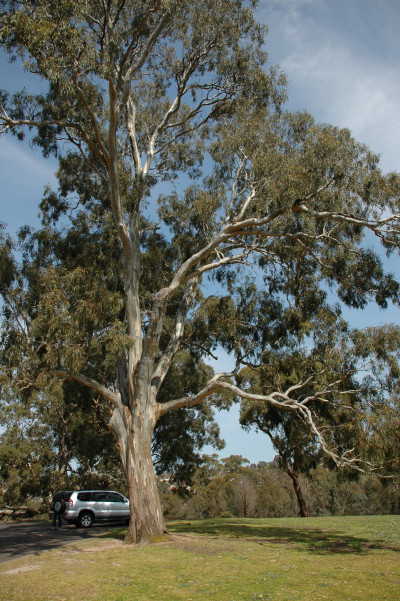 20090915-0059.jpg