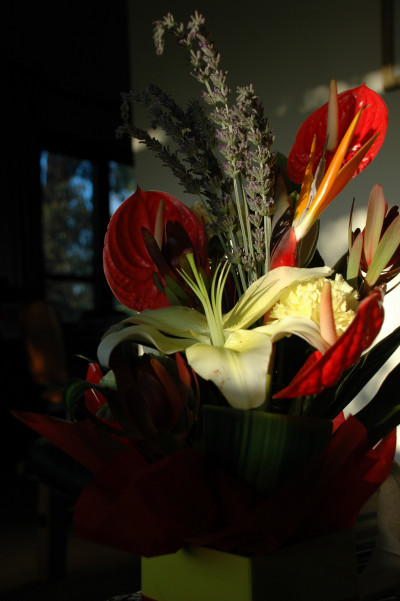 20090915-0125.jpg