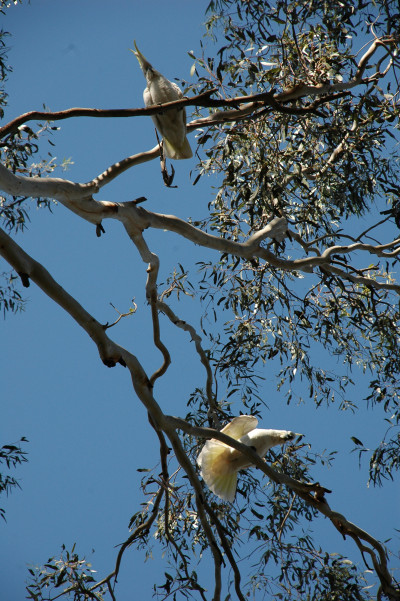 20090918-0095.jpg