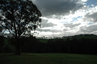 20090920-0093.jpg
