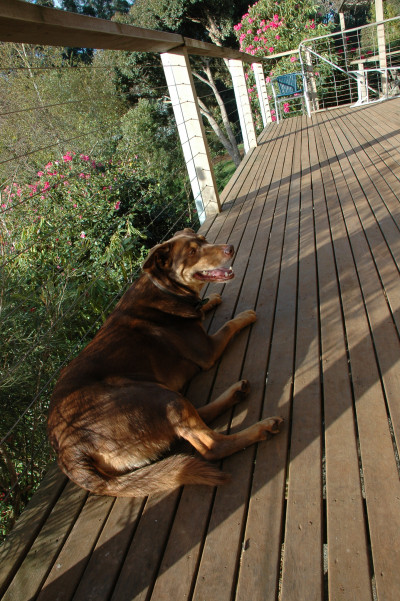 20090920-0143.jpg