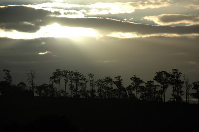 20090920-0161.jpg