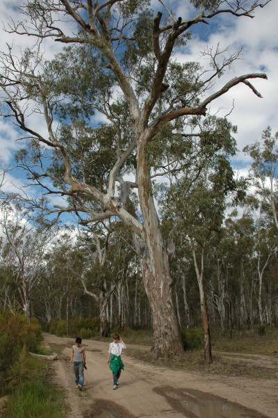 20090924-0443.jpg