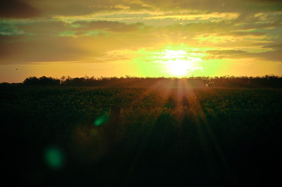 20090924-0506.jpg