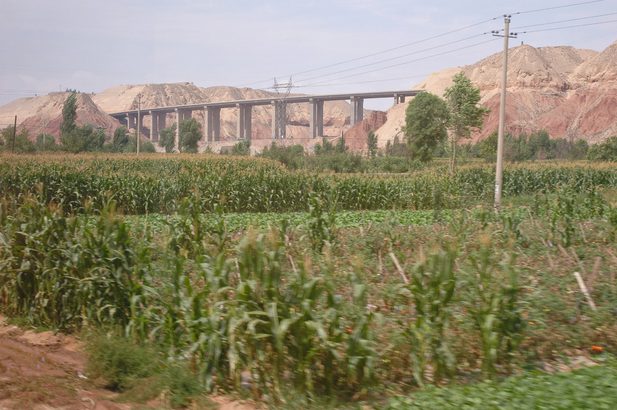 20060823-0060