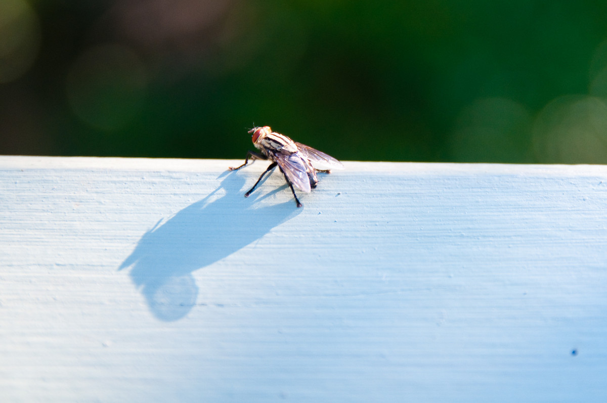 20100703-0358