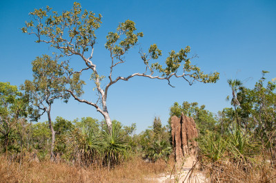 20100703-0130.jpg
