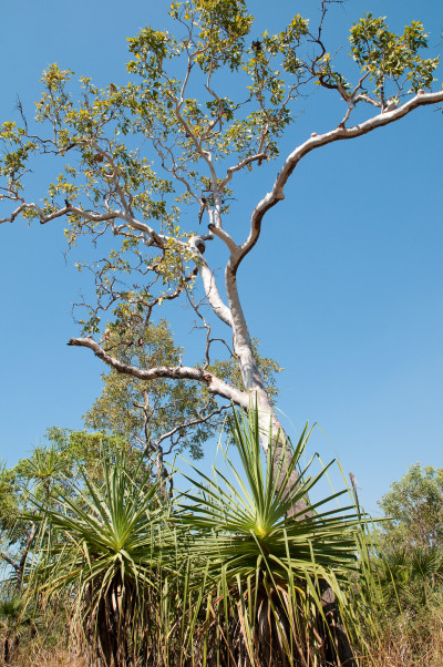 20100703-0133.jpg