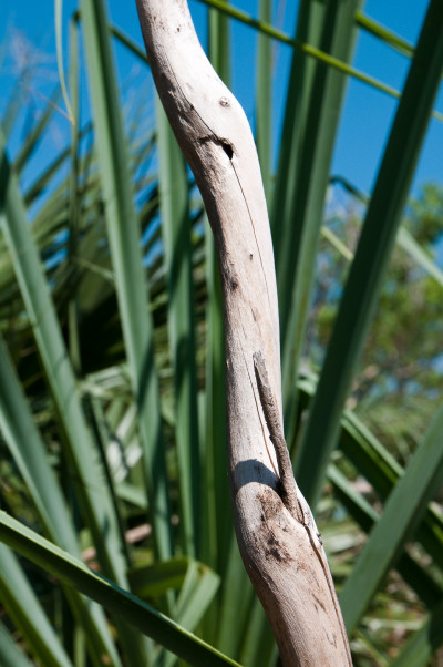 20100703-0147.jpg