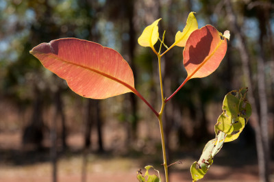 20100703-0153.jpg