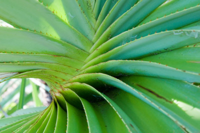 20100703-0160.jpg