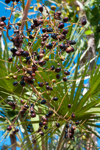 20100703-0161.jpg