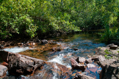 20100703-0182.jpg