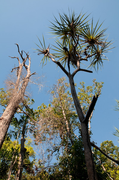 20100703-0253.jpg