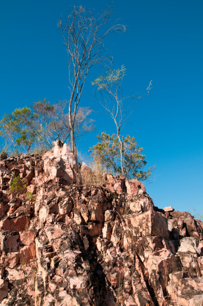 20100703-0300.jpg