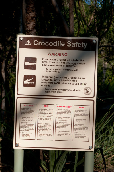 20100703-0317.jpg
