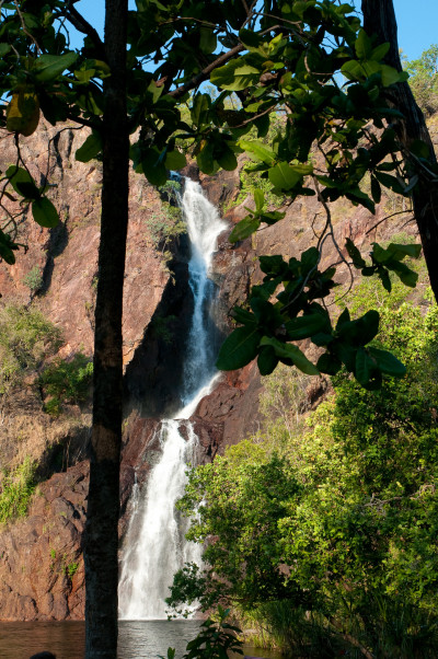 20100703-0345.jpg