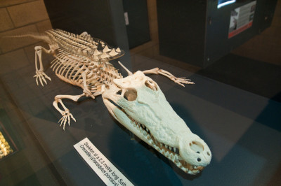 20100704-0464.jpg