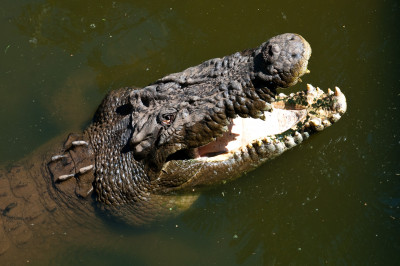 Darwin and Litchfield National Park