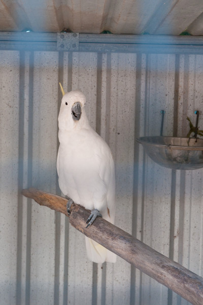 20100704-0511.jpg