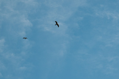 20100704-0540.jpg