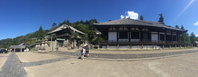 IMG_8663.jpg